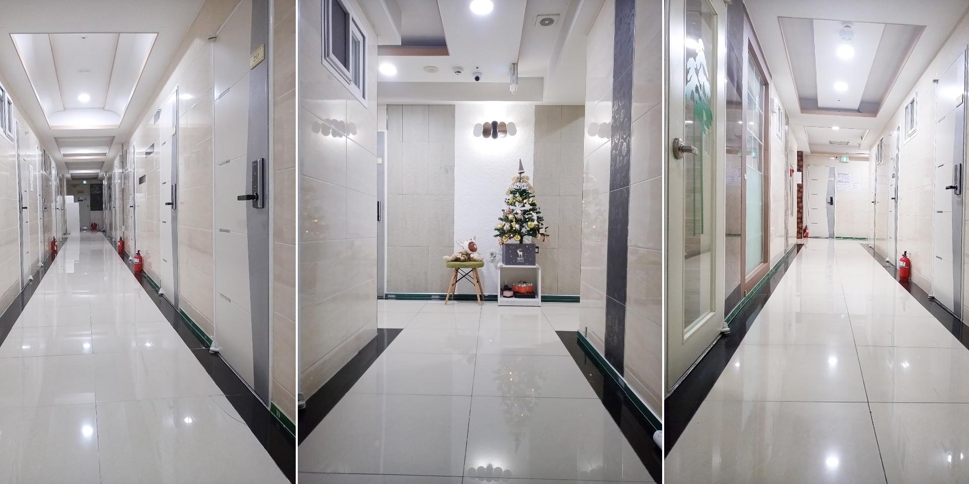 ���ﵿ Ǯ�ɼ� �Ӹ���������