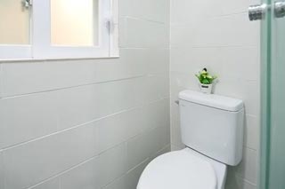 �ü�����