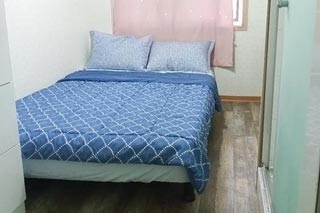 �ü�����